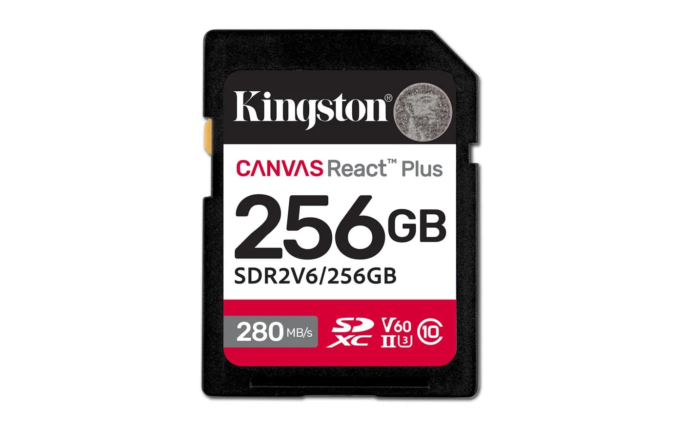 Kingston PP Flash SDR2V6/256GB