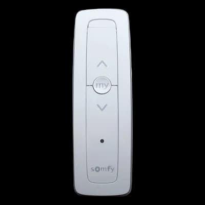 Somfy SITUO1RTSPURE