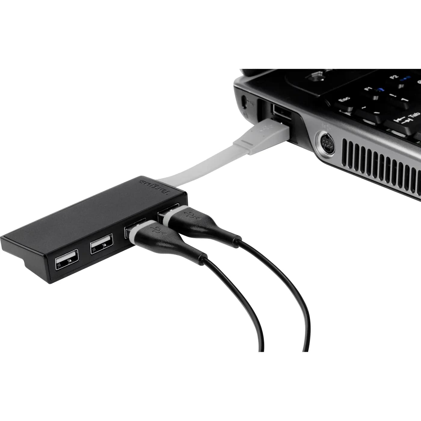 Targus ACH114AU nodo concentrador USB 2.0 Negro 3