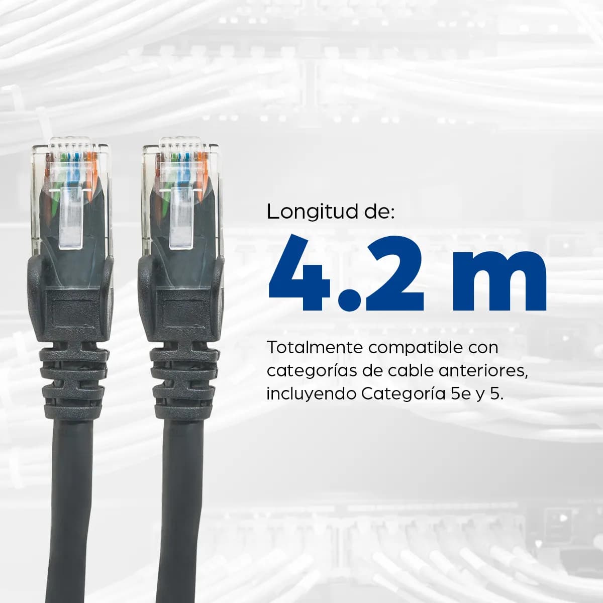Intellinet Cable Patch Cat6, UTP 5