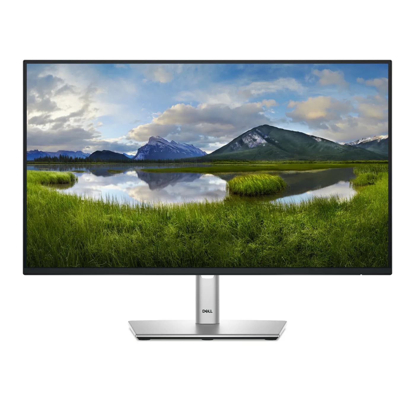 Dell DELL-P2425H