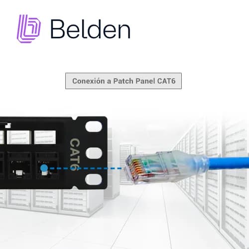 PATCH CORD UTP CAT6+ BELDEN C601106002 / INTERIOR / AZUL / 4 PARES / 2 3