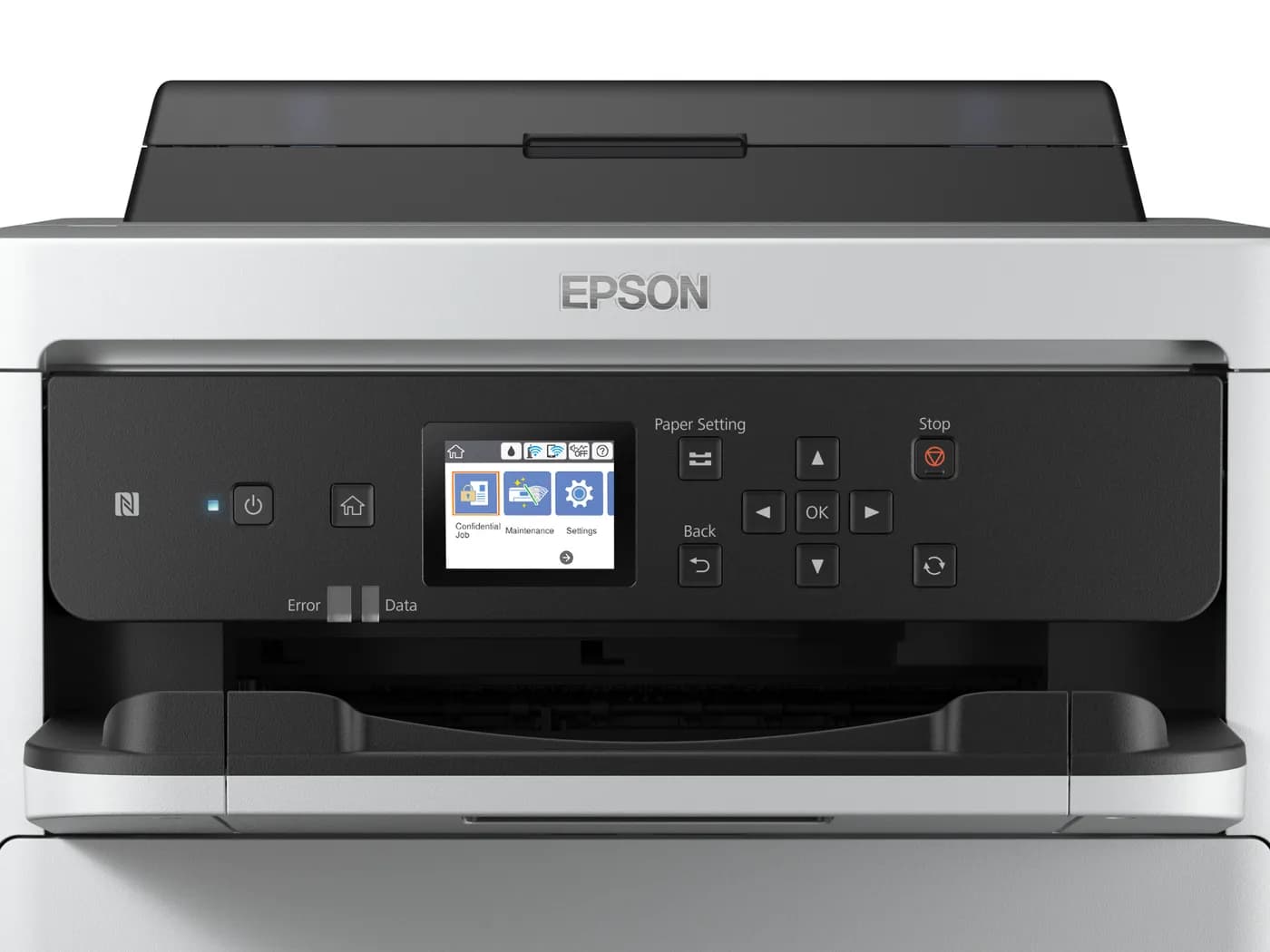 Epson T01C100 cartucho de tinta 1 pieza(s) Original Alto rendimiento ( 4