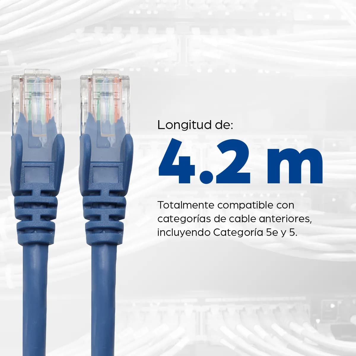 Intellinet Cable Patch Cat6, UTP 5