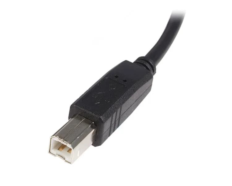 StarTech.com USB2HAB3M cable USB USB 2.0 3 m USB A USB B 0.48 Gbit/s N 3