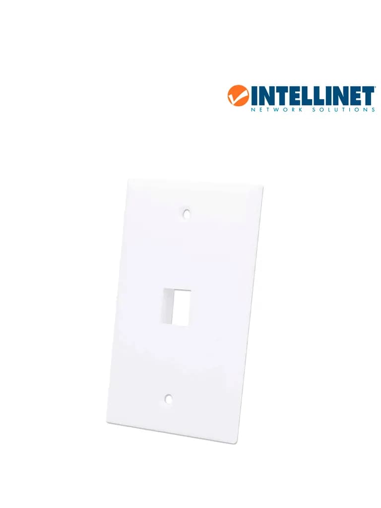 Intellinet 163286