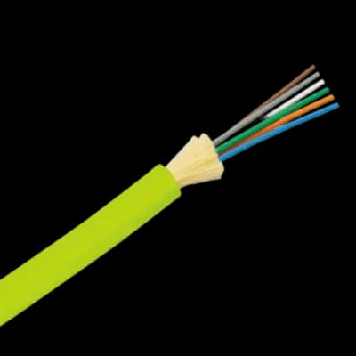Panduit FODPW24Y