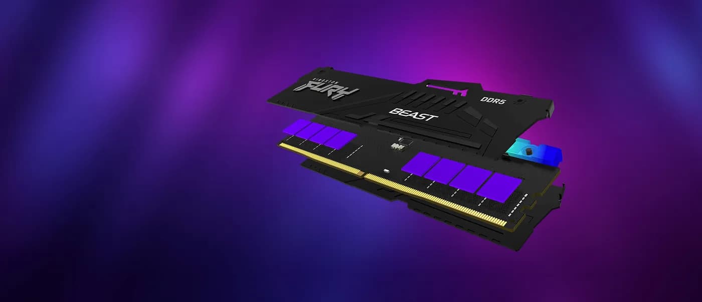 Kingston Technology FURY Beast RGB módulo de memoria 32 GB 1 x 32 GB D 12
