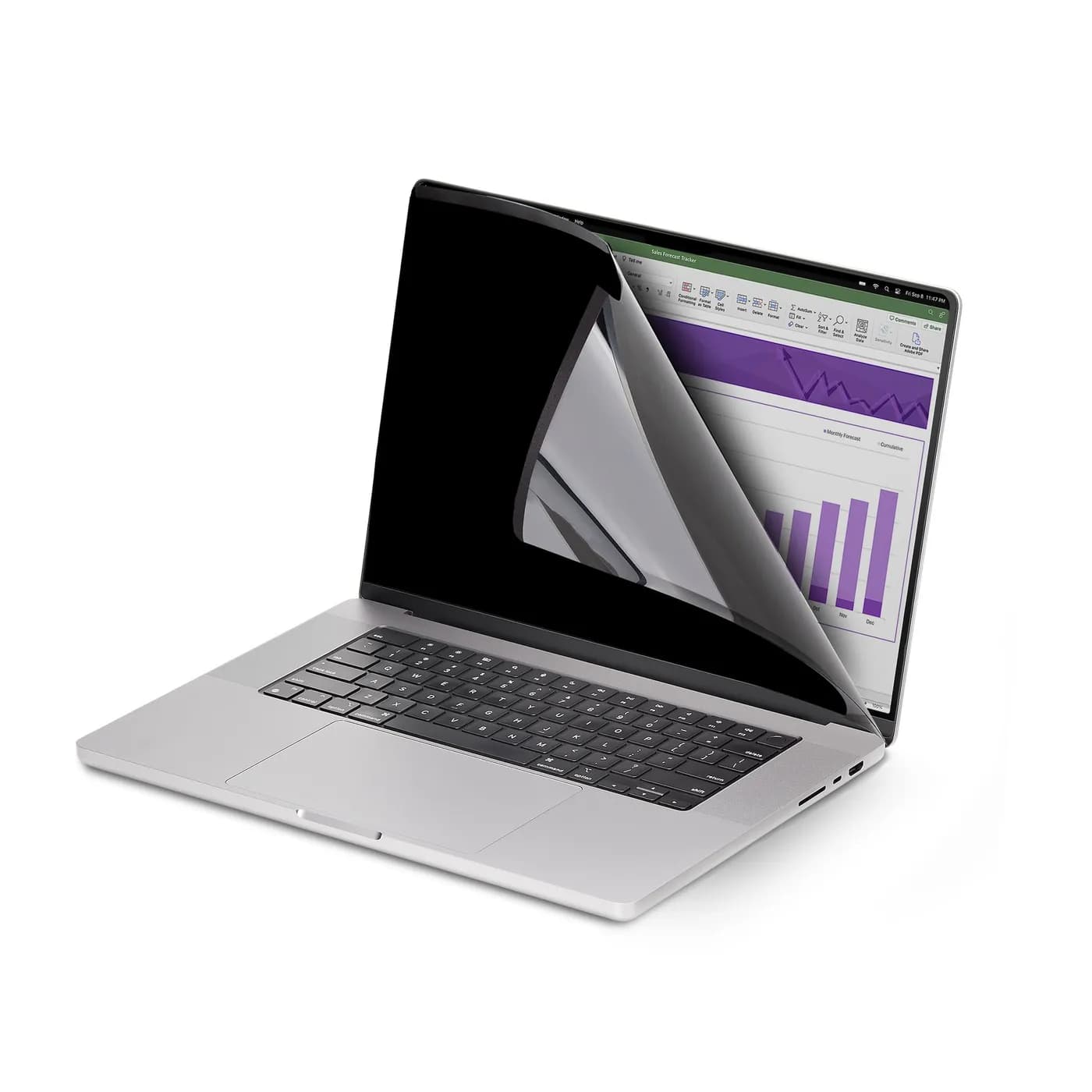 StarTech.com 162MM-PRIVACY-SCREEN filtro para monitor 40.6 cm (16") Co 4