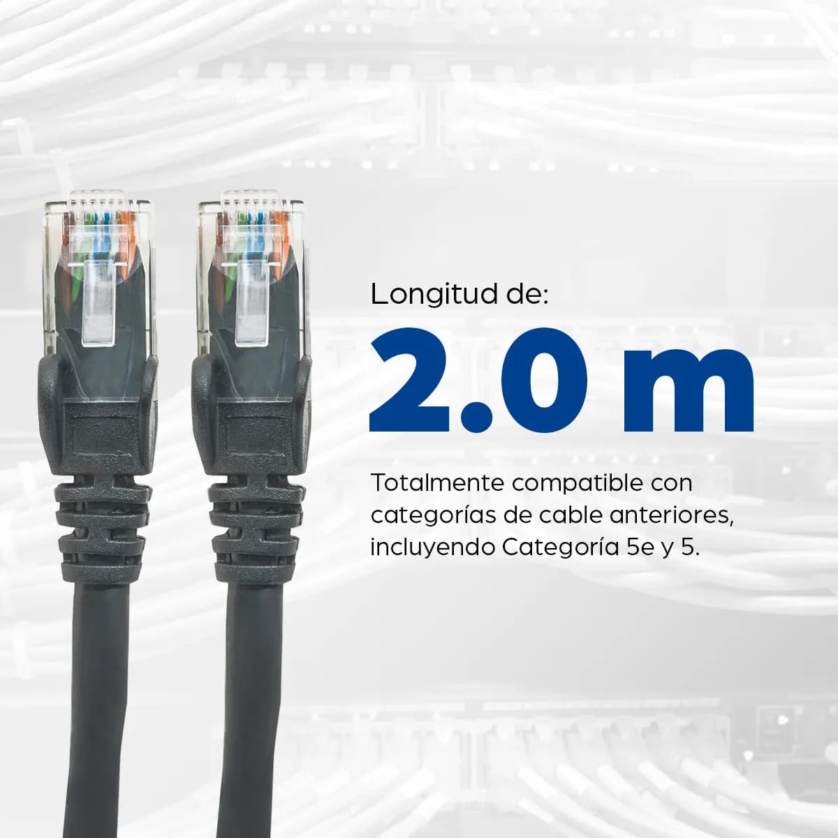 Intellinet Cable de red, Cat6, UTP 6
