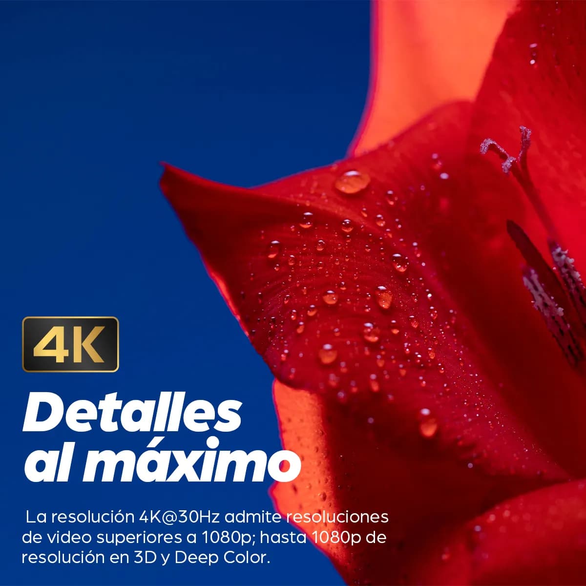 Manhattan Cable HDMI de Alta Velocidad 4