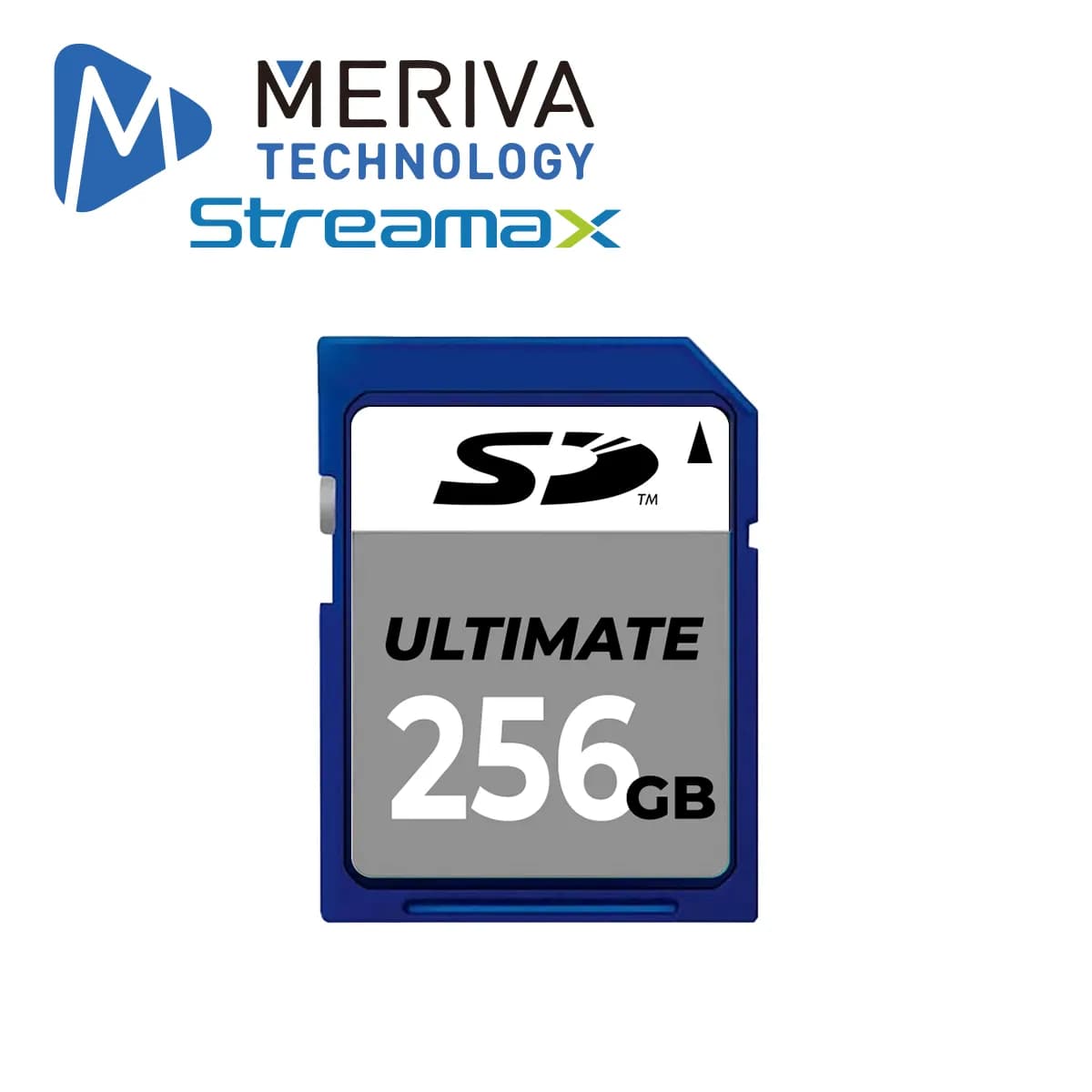 Streamax - Meriva MSD256GB