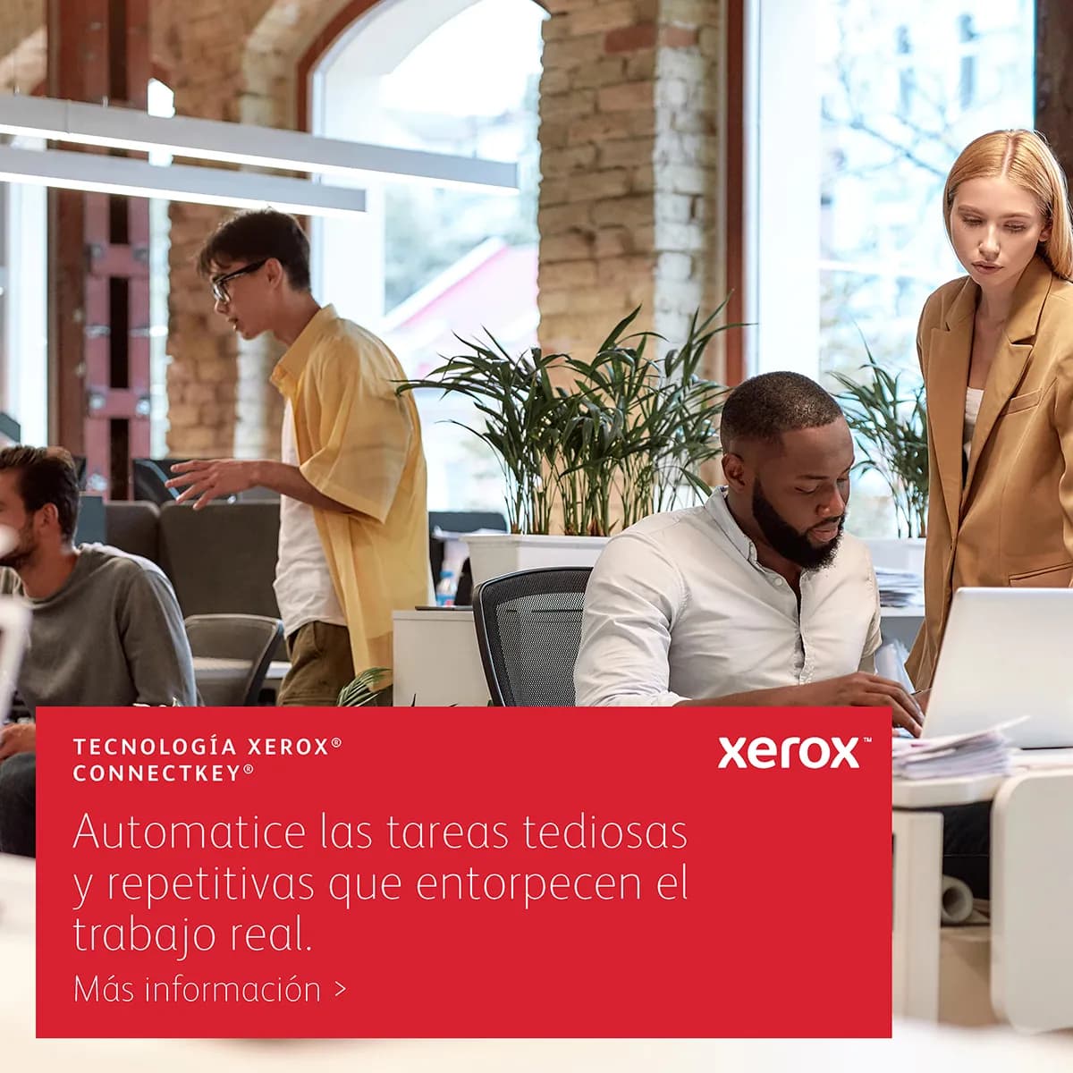 Xerox VersaLink C625V_DN Impresora multifunción Laser A4 1200 x 1200 D 25