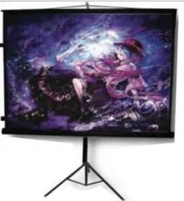 Multimedia Screens MST213