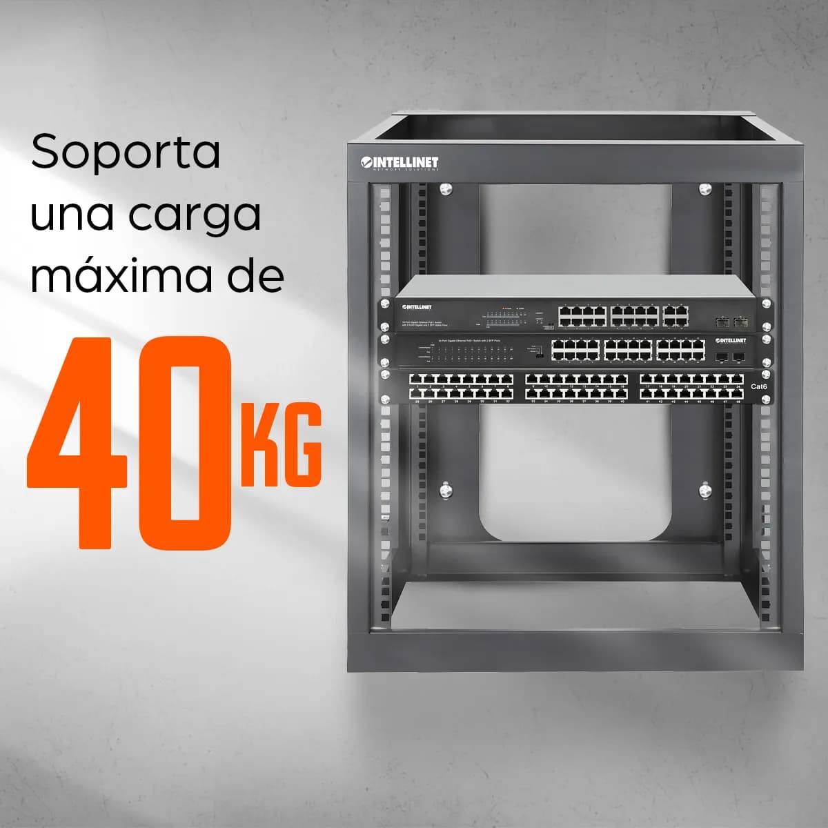 Intellinet 716055 accesorio para rack Estructura de rack 10