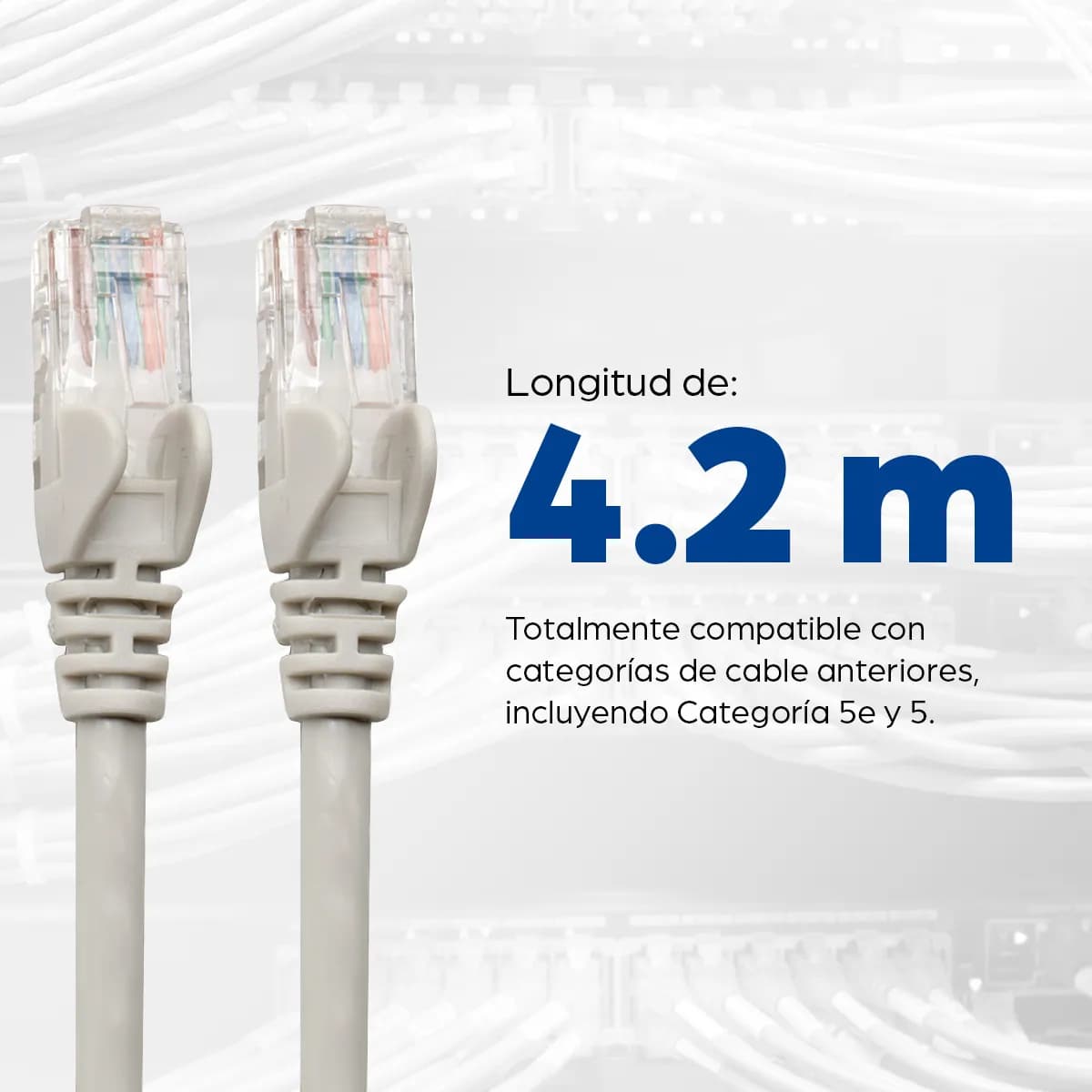 Intellinet Cable Patch Cat6, UTP 5