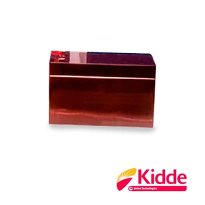 Kidde 12V10A