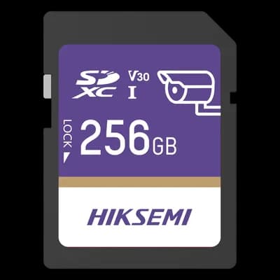 HIKSEMI by HIKVISION HS-SD-P10/256G/GUARDPRO