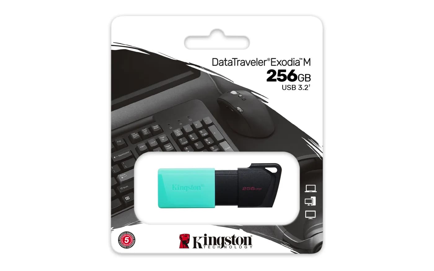 Kingston Technology DataTraveler Exodia M unidad flash USB 256 GB USB  6