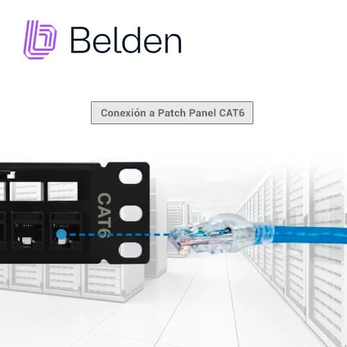 PATCH CORD UTP CAT6+ BELDEN C601106010 / INTERIOR / AZUL / 4 PARES / 2 3