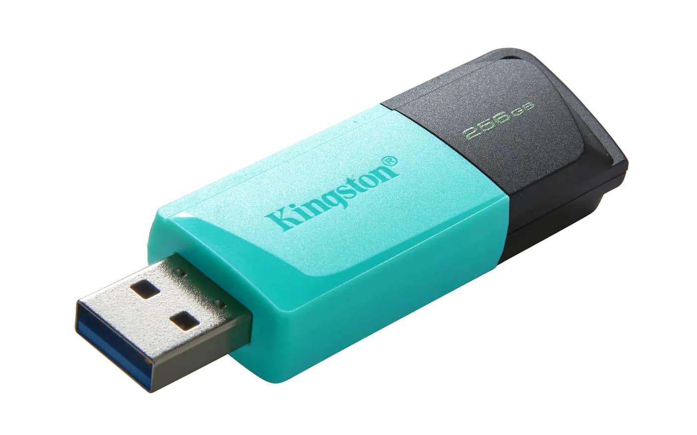 Kingston Technology DataTraveler Exodia M unidad flash USB 256 GB USB  5
