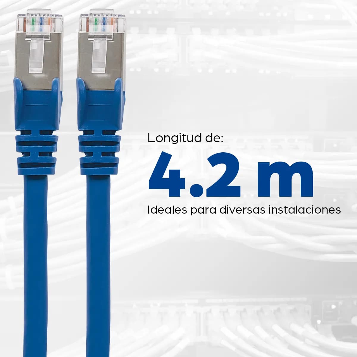 Intellinet Cable Patch Cat6a, S/FTP 5