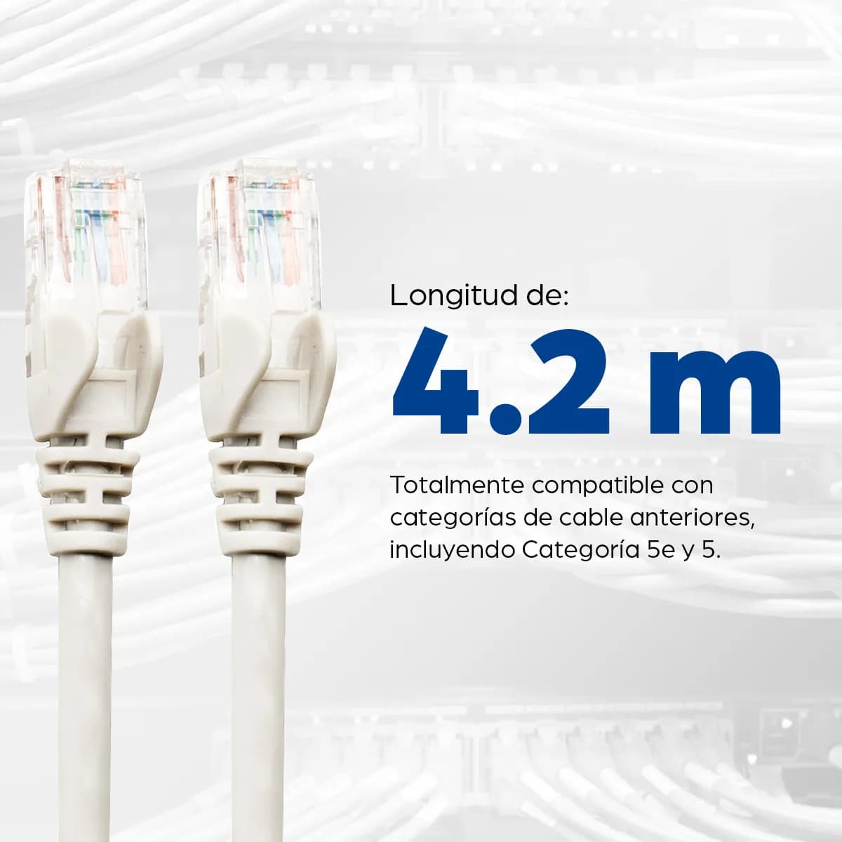 Intellinet Cable Patch Cat6, UTP 5