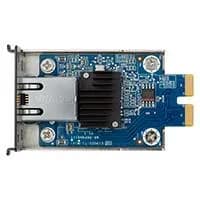Synology E10G22-T1-MINI