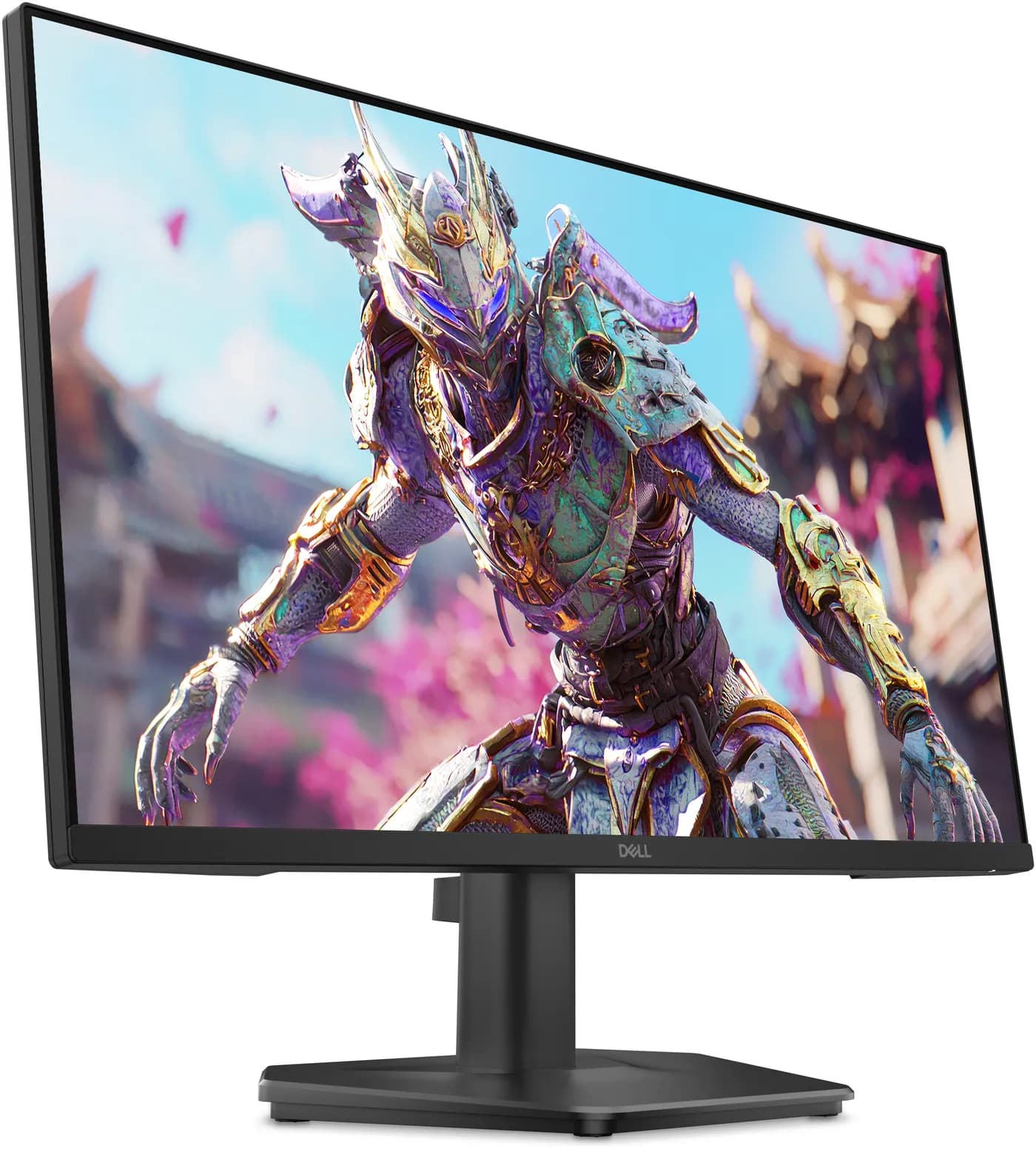 Dell DELL-SE2426HG