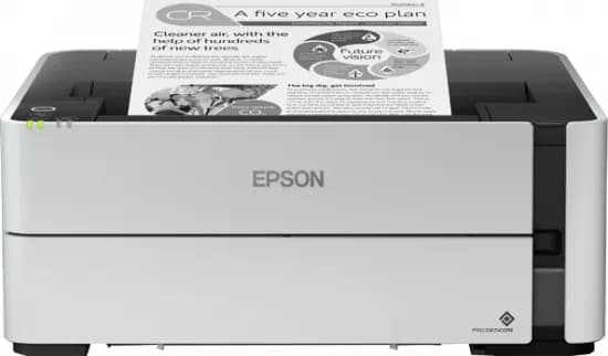 Epson C11CG94301