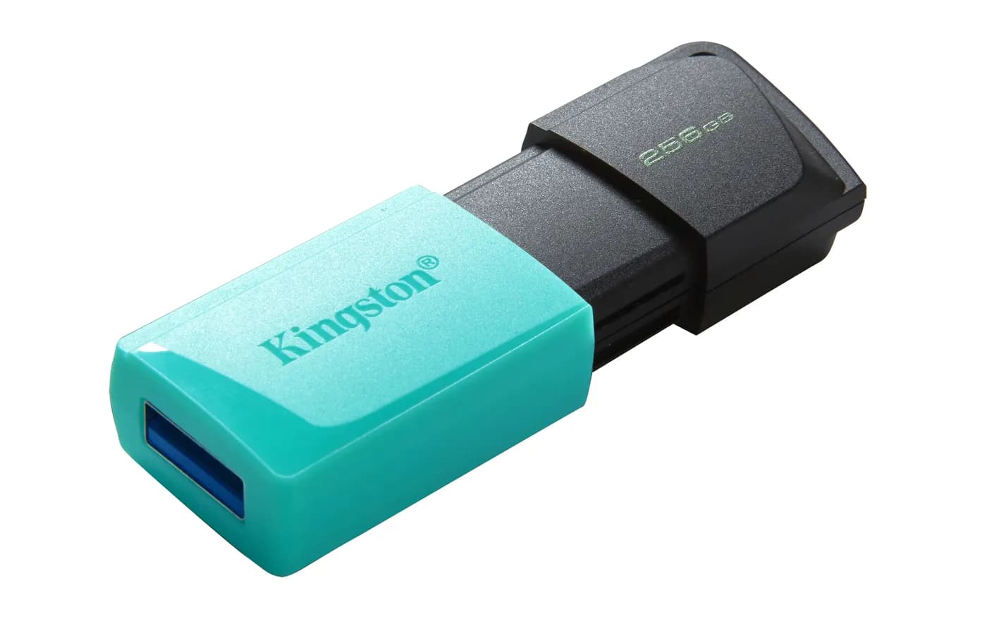 Kingston Technology DataTraveler Exodia M unidad flash USB 256 GB USB  4