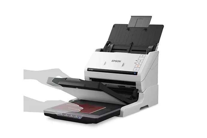 Epson WorkForce B11B261202 escáner Escáner alimentado con hojas 600 x  6