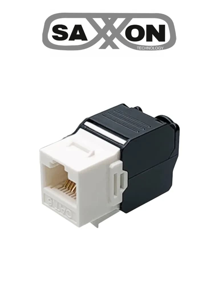 Saxxon M242-C6
