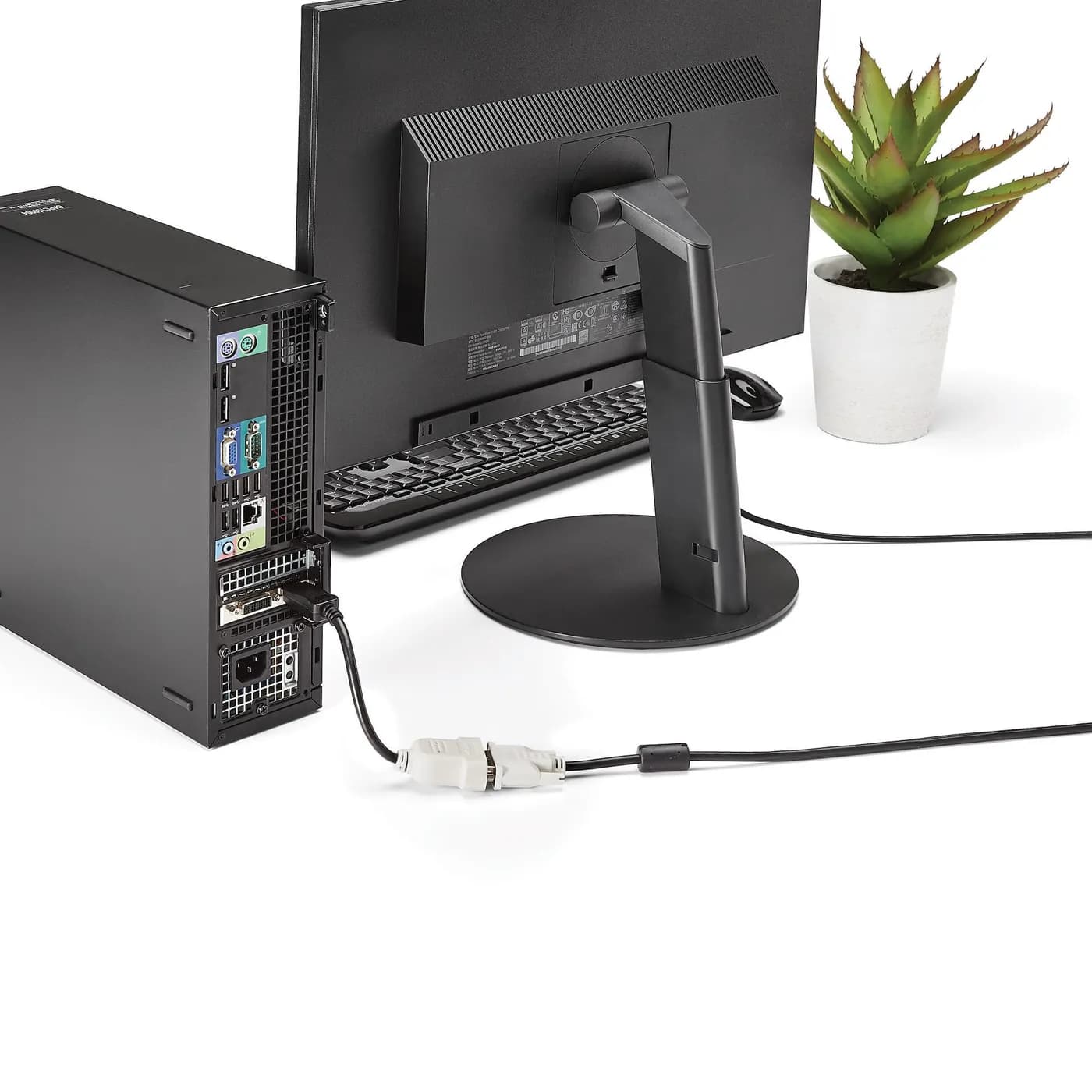 StarTech.com Adaptador de Video DisplayPort a DVI - Convertidor DP - H 6
