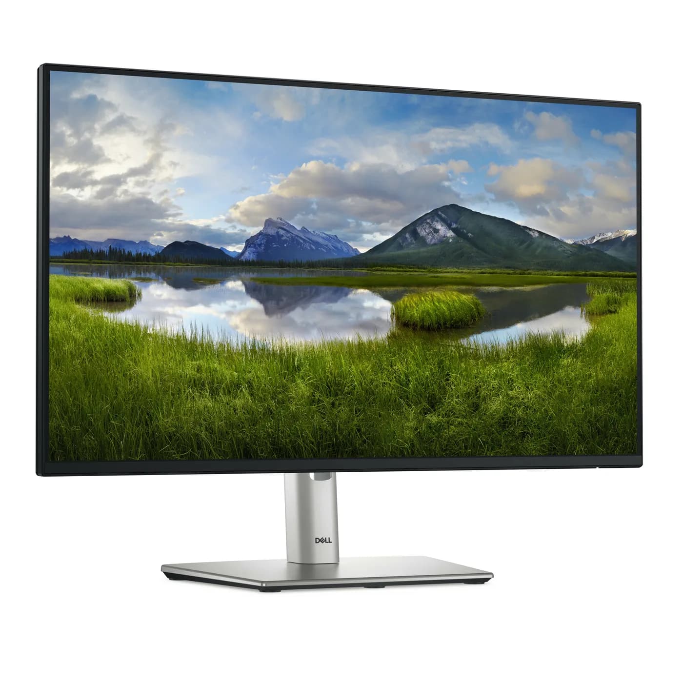 DELL Pro Plus P2425H monitor de computadora 60.5 cm (23.8") 1920 x 108 3