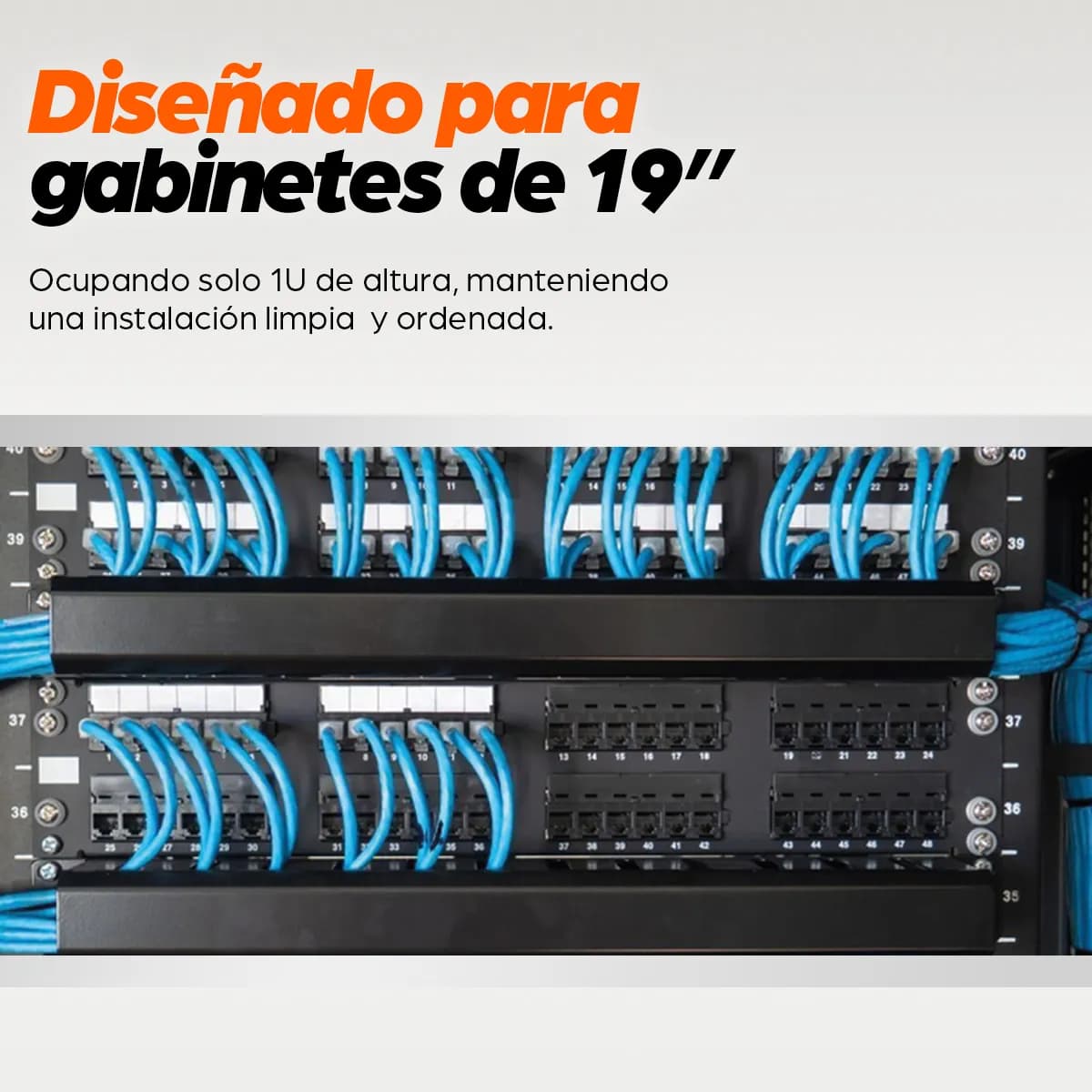 Intellinet Organizador Horizontal 19", 1U, (Metal) 6