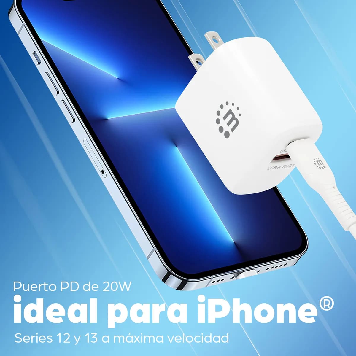 Manhattan 406291 adaptador e inversor de corriente Interior 20 W Blanc 12