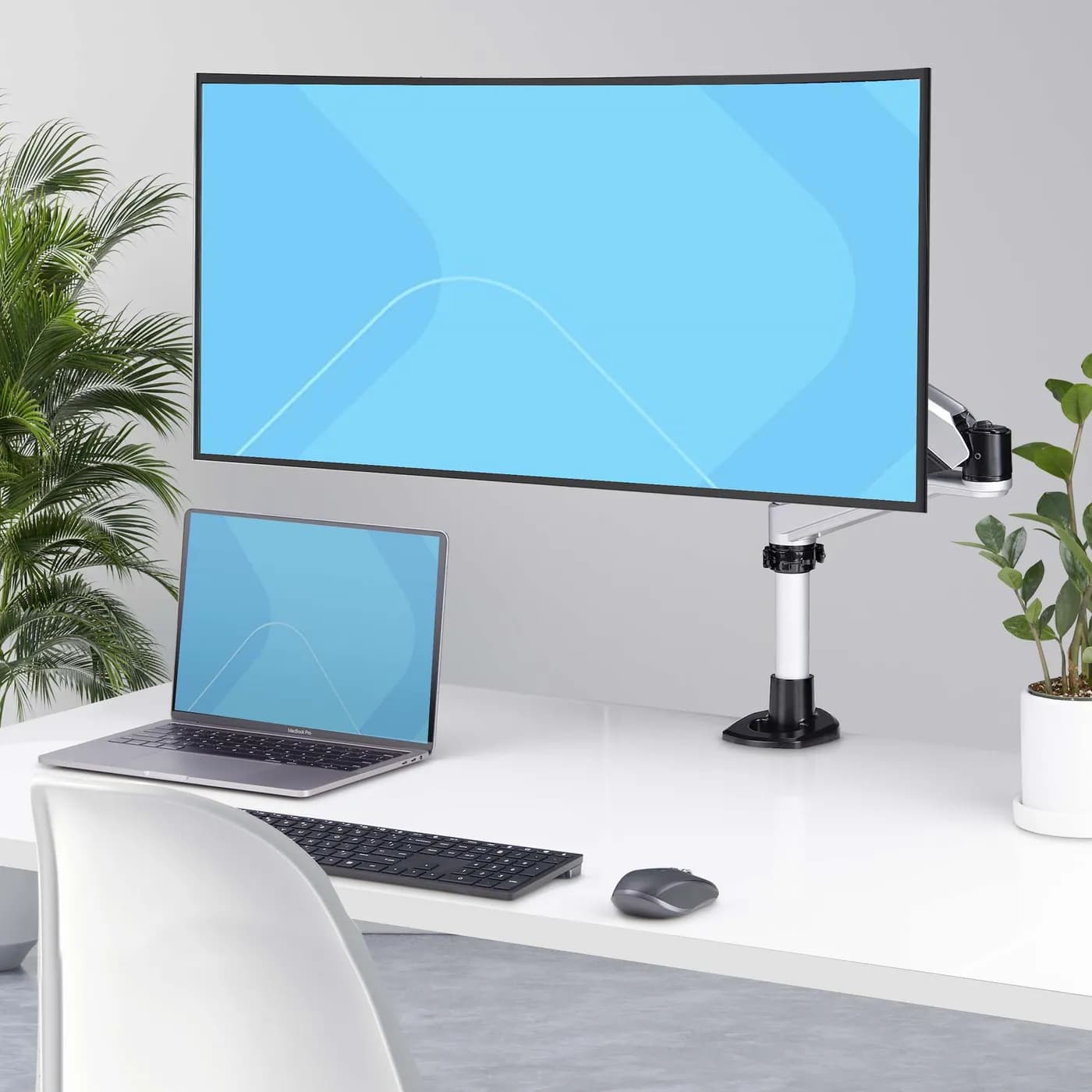 StarTech.com Soporte de Escritorio para Monitor VESA 75x75/100x100 de  12