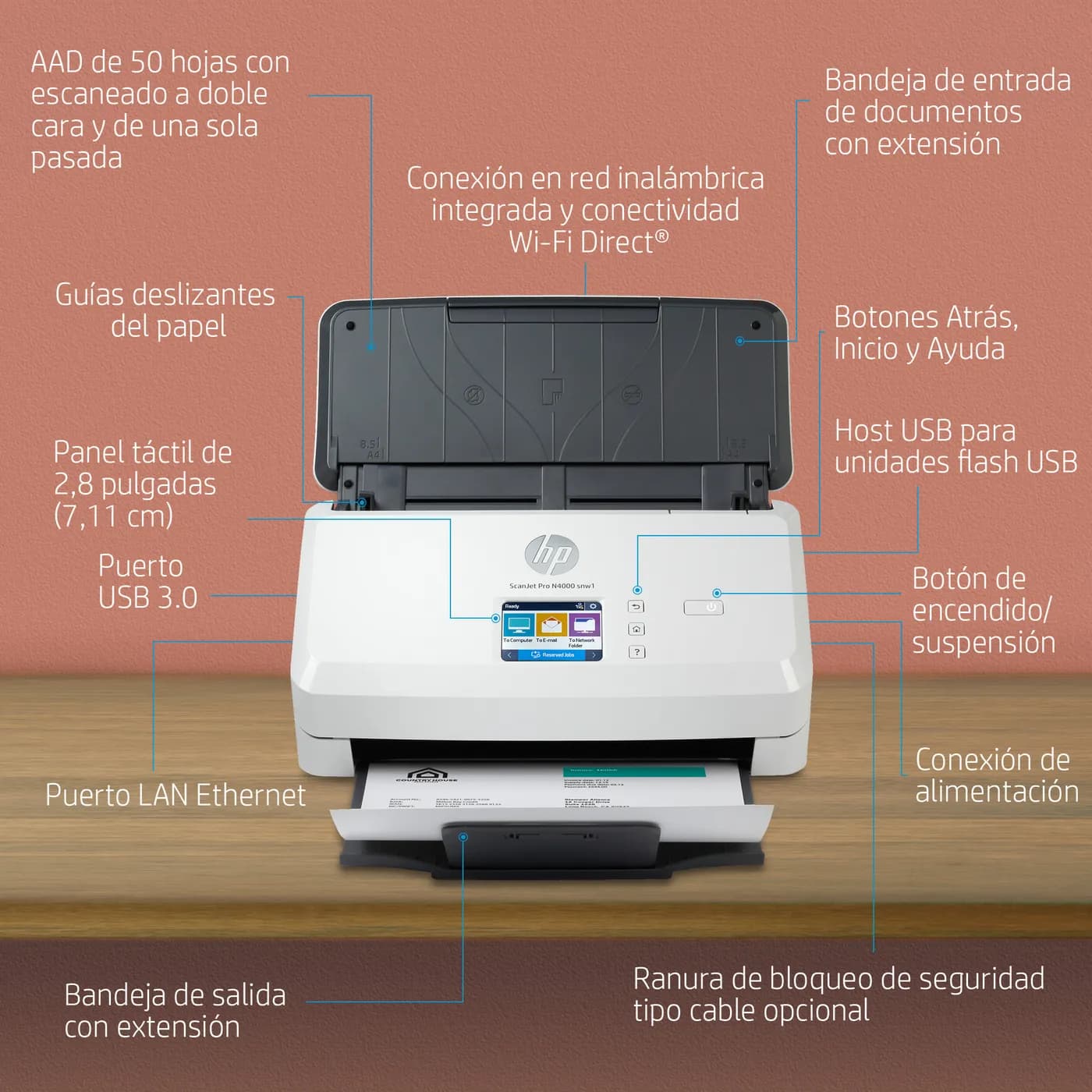 HP ScanJet Pro N4000 snw1 Escáner alimentado con hojas 600 x 600 DPI A 4