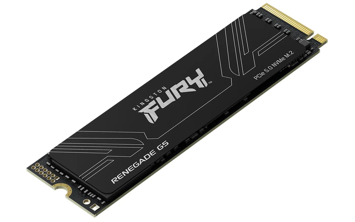 Kingston Technology FURY Renegade G5 1 TB M.2 PCI Express 5.0 NVMe 3D  3