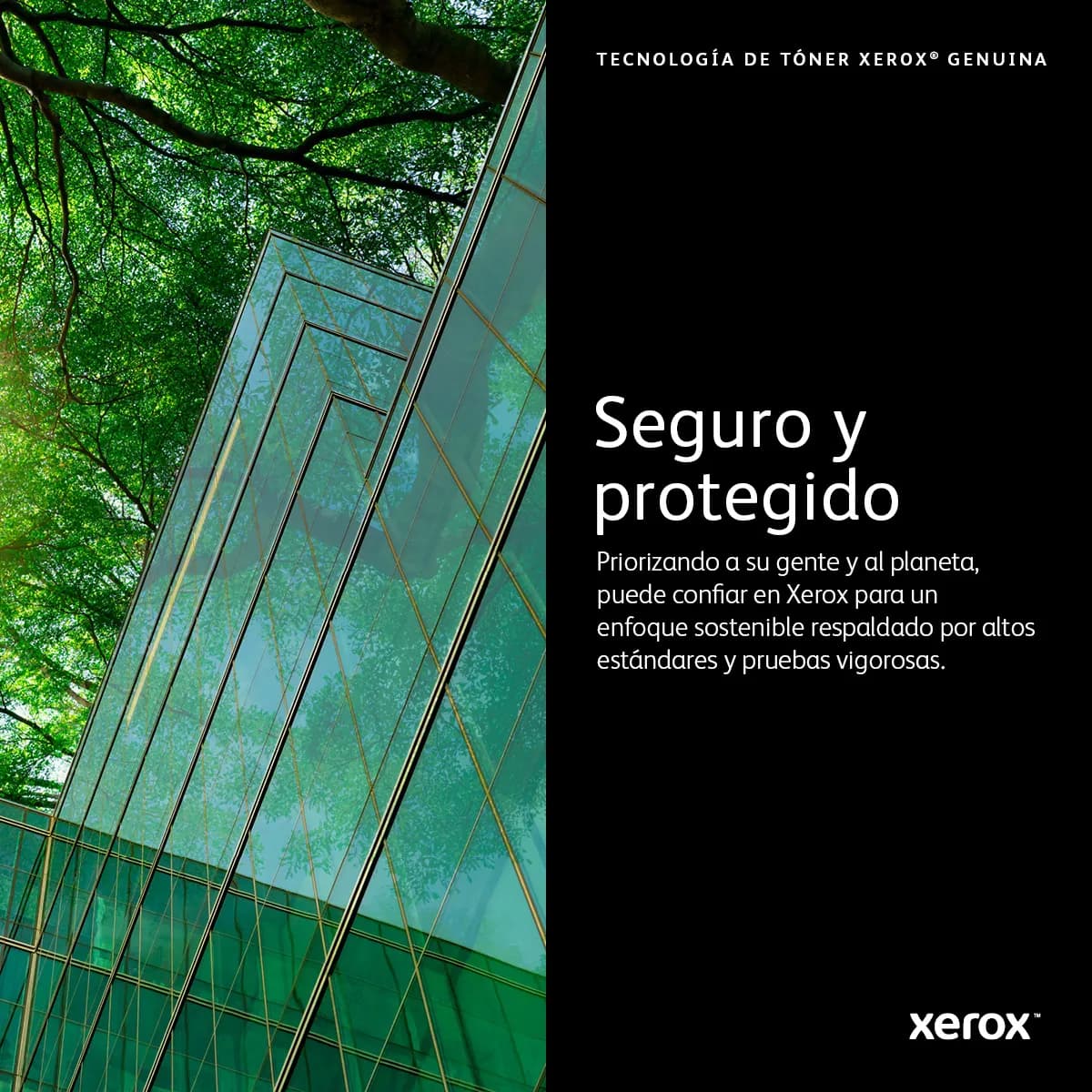 Xerox 006R04387 cartucho de tóner 1 pieza(s) Original Negro 8