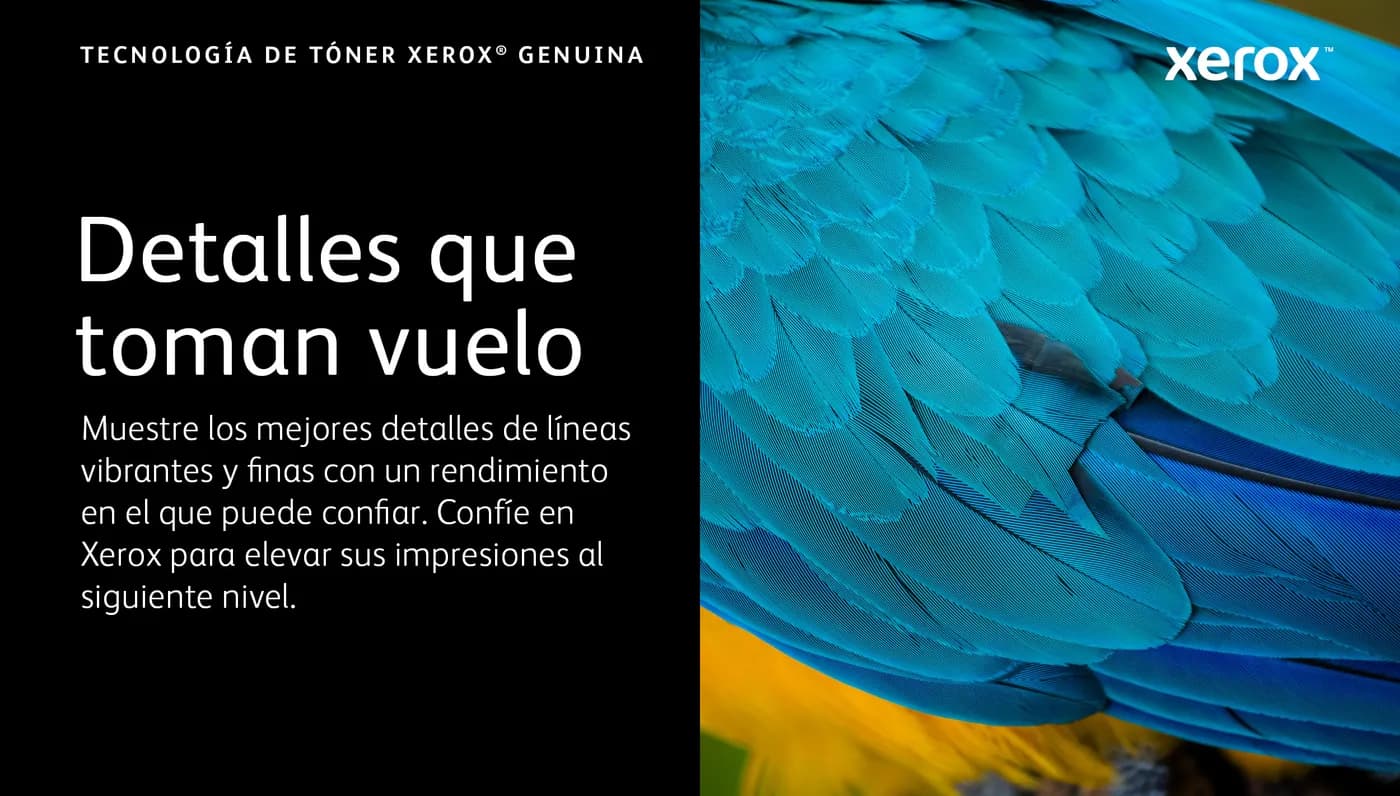 Xerox 006R04677 cartucho de tóner 1 pieza(s) Original Negro 5
