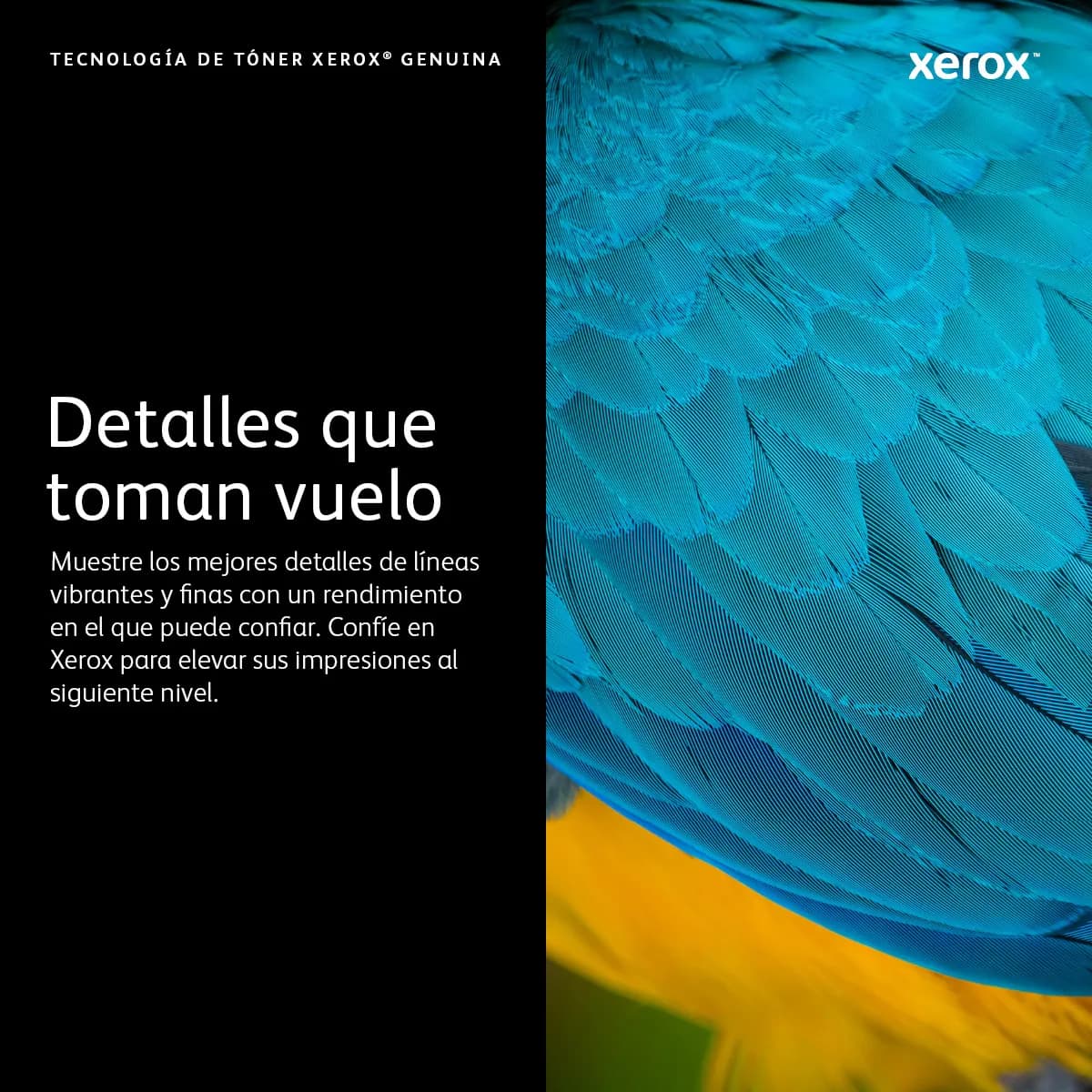 Xerox 006R04387 cartucho de tóner 1 pieza(s) Original Negro 3