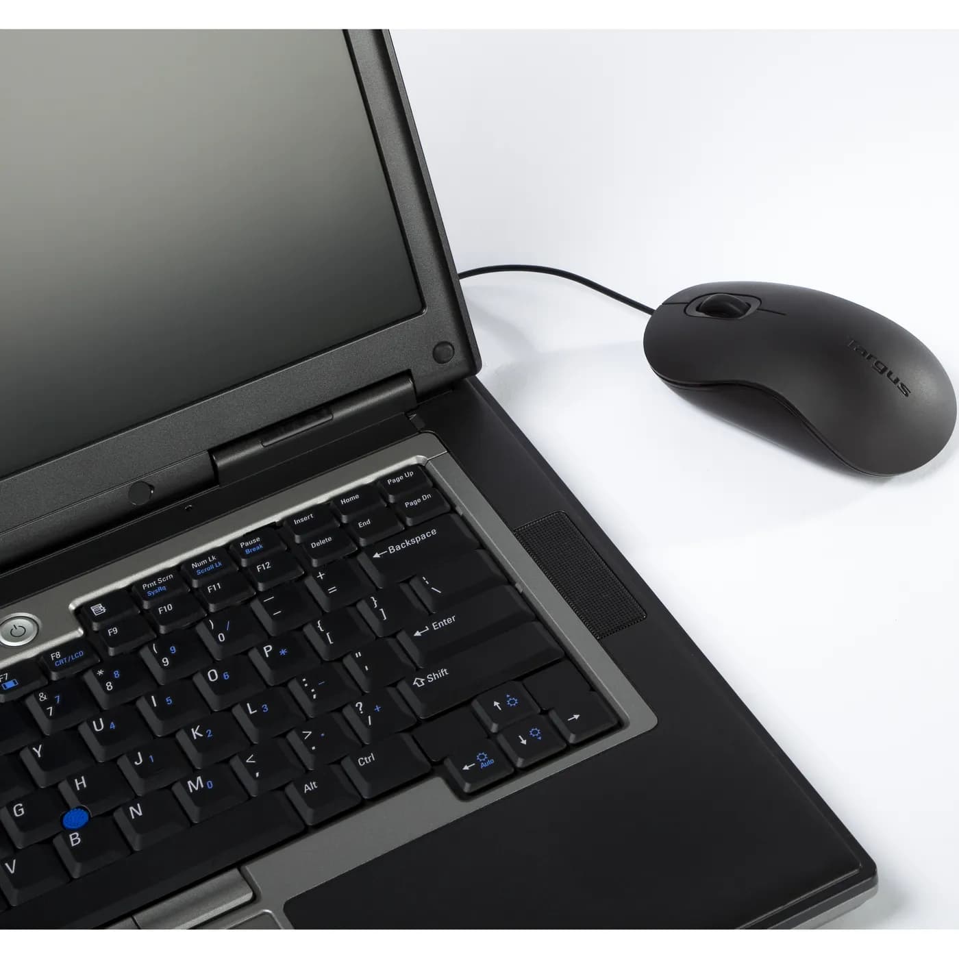 Targus AMU81USZ ratón USB tipo A Óptico 1000 DPI 3