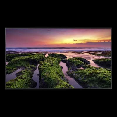 Samsung Electronics QB55C