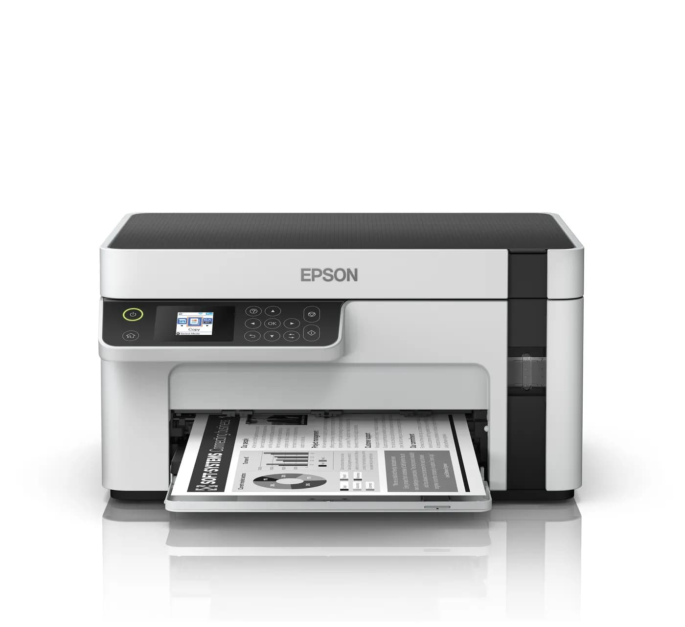 Epson C11CJ18301
