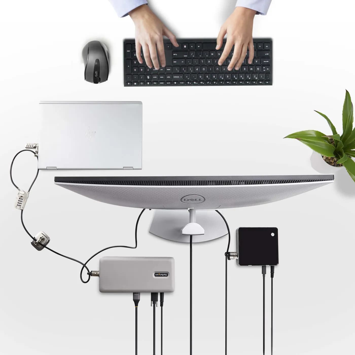 StarTech.com Juego de Candado para Computadora de Escritorio o Laptop  7