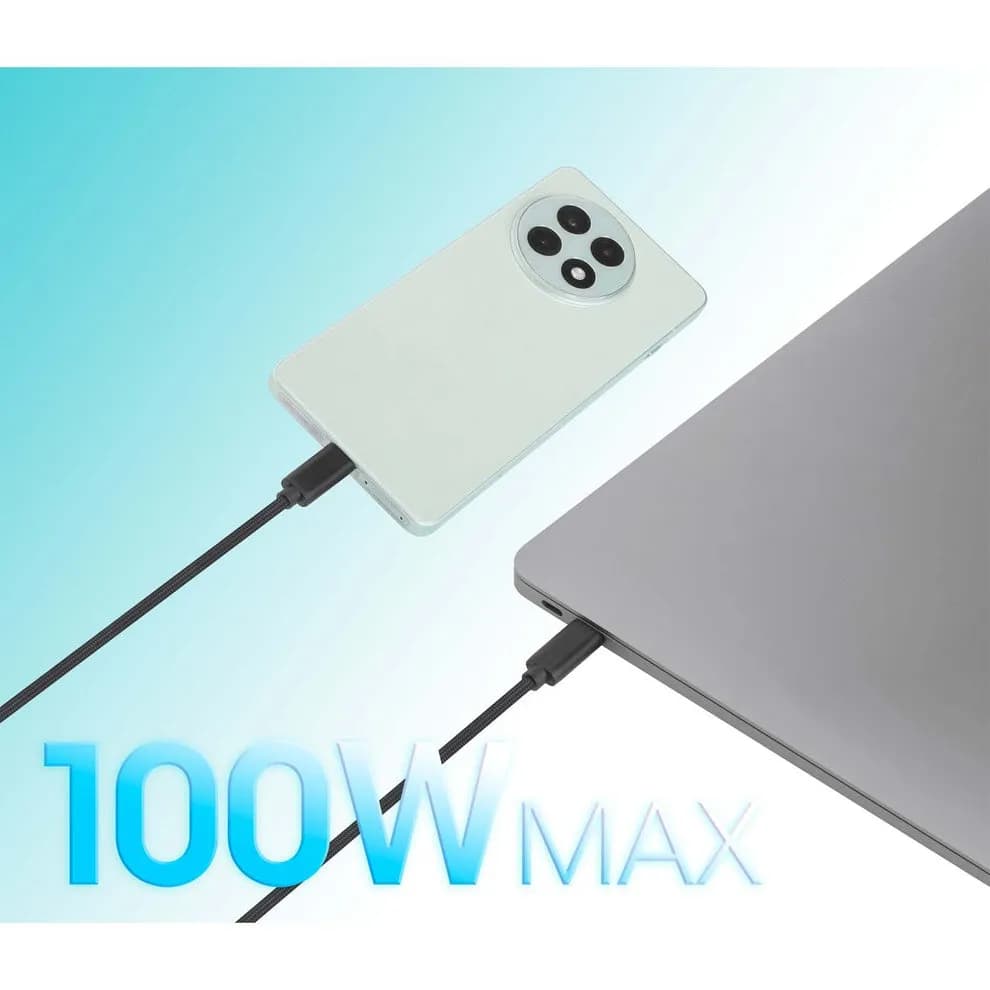 Manhattan 355810 cable USB 2 m USB C 2 x USB C 100 W Negro 7