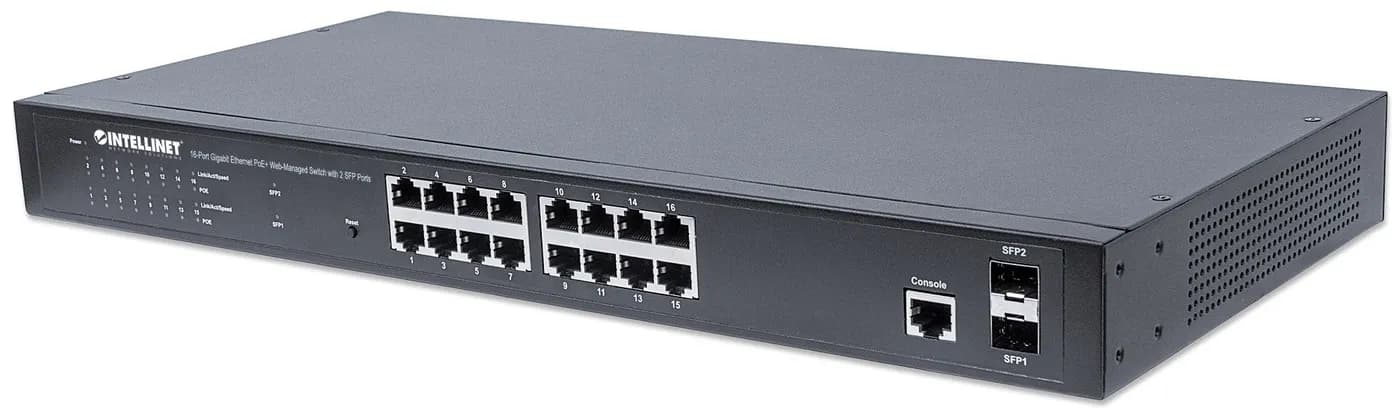 Intellinet 561341