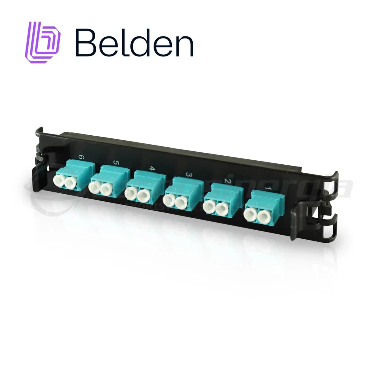 Belden FF3X06LD